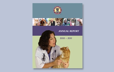 Cover Annual Report